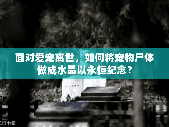 面对爱宠离世，如何将宠物尸体做成水晶以永恒纪念？