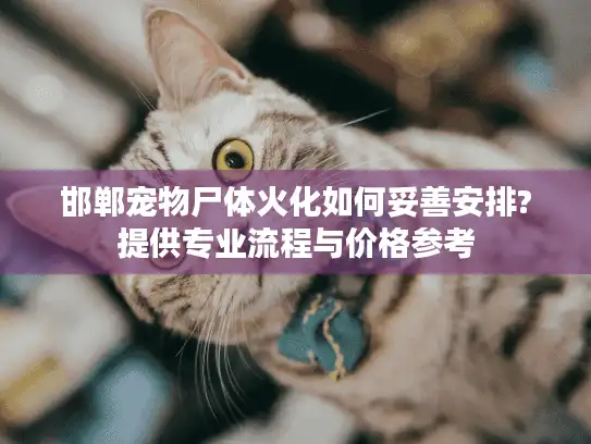 邯郸宠物尸体火化如何妥善安排?提供专业流程与价格参考