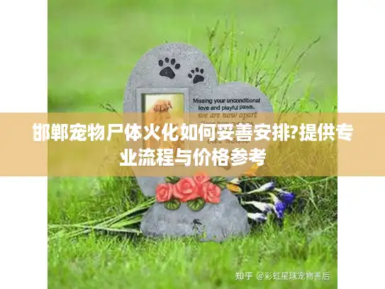 邯郸宠物尸体火化如何妥善安排?提供专业流程与价格参考