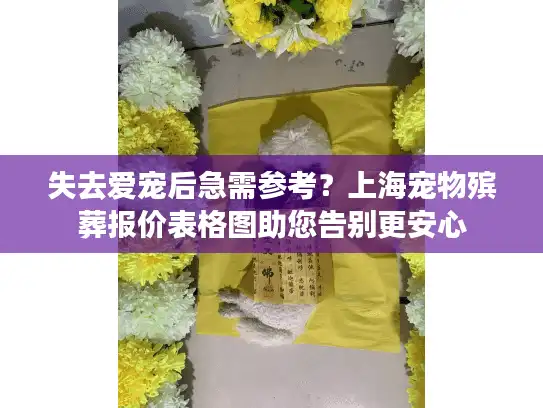 失去爱宠后急需参考？上海宠物殡葬报价表格图助您告别更安心