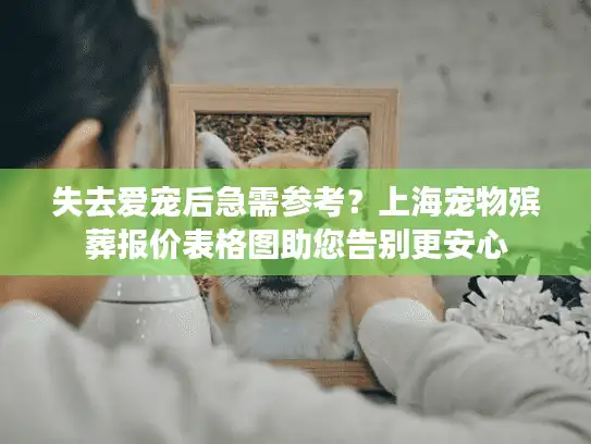 失去爱宠后急需参考？上海宠物殡葬报价表格图助您告别更安心