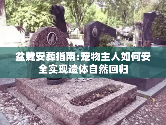 盆栽安葬指南:宠物主人如何安全实现遗体自然回归
