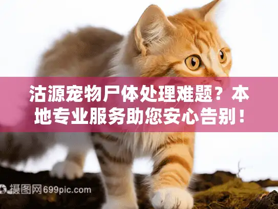 沽源宠物尸体处理难题？本地专业服务助您安心告别！