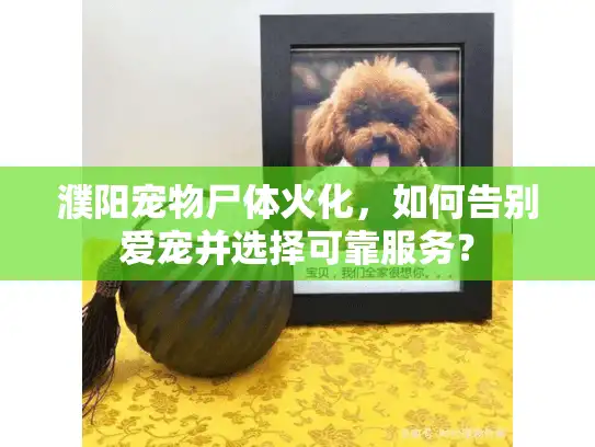濮阳宠物尸体火化，如何告别爱宠并选择可靠服务？