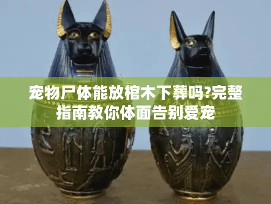 宠物尸体能放棺木下葬吗?完整指南教你体面告别爱宠