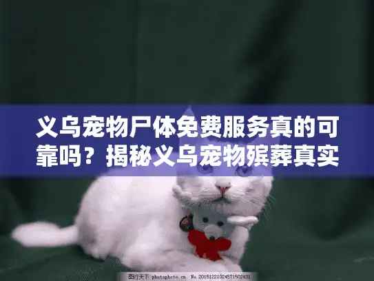 义乌宠物尸体免费服务真的可靠吗？揭秘义乌宠物殡葬真实选择