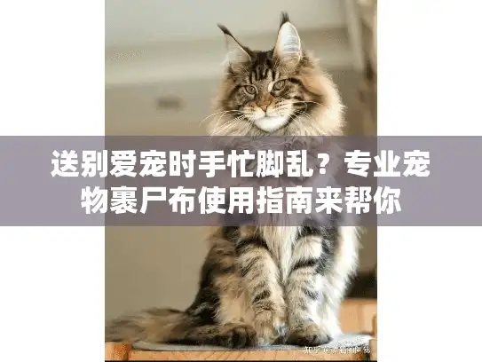 送别爱宠时手忙脚乱？专业宠物裹尸布使用指南来帮你