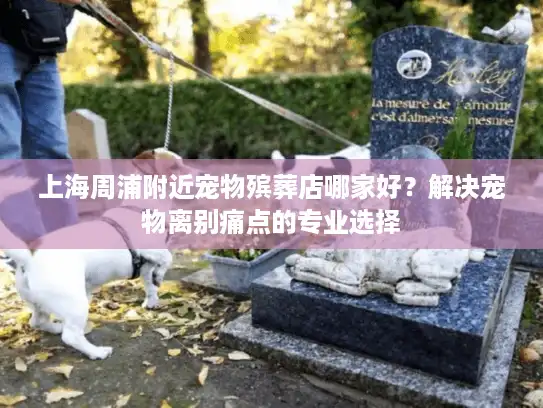 上海周浦附近宠物殡葬店哪家好？解决宠物离别痛点的专业选择