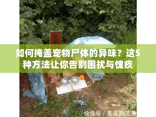 如何掩盖宠物尸体的异味？这5种方法让你告别困扰与愧疚