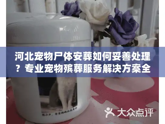 河北宠物尸体安葬如何妥善处理？专业宠物殡葬服务解决方案全攻略