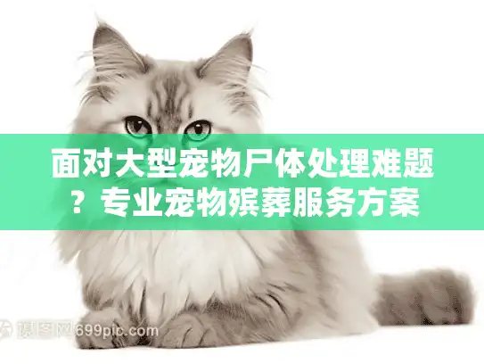面对大型宠物尸体处理难题？专业宠物殡葬服务方案
