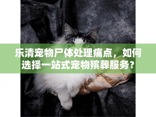 乐清宠物尸体处理痛点，如何选择一站式宠物殡葬服务？