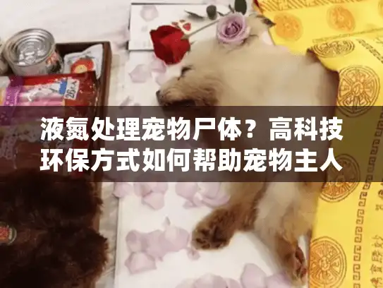 液氮处理宠物尸体？高科技环保方式如何帮助宠物主人告别爱宠