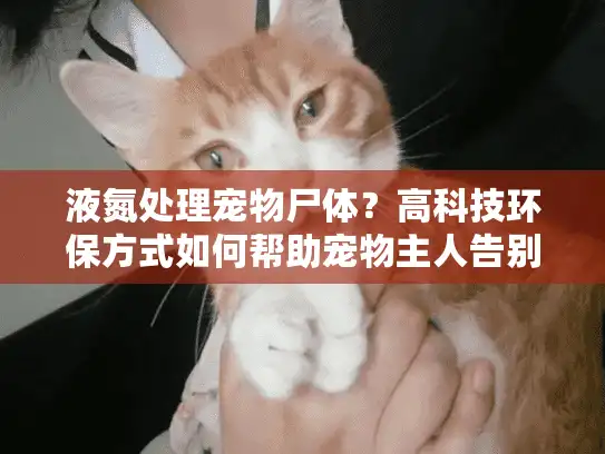液氮处理宠物尸体？高科技环保方式如何帮助宠物主人告别爱宠
