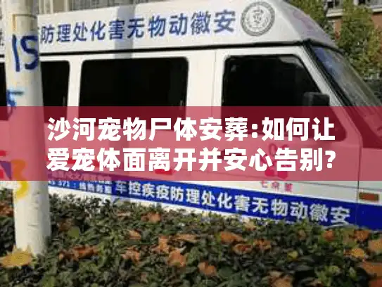 沙河宠物尸体安葬:如何让爱宠体面离开并安心告别?