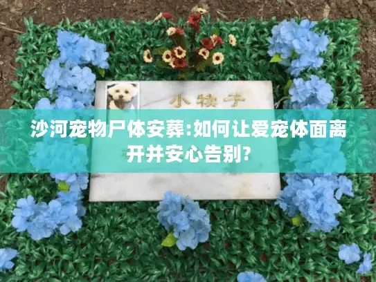 沙河宠物尸体安葬:如何让爱宠体面离开并安心告别?