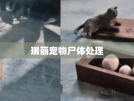 瑞丽宠物尸体处理