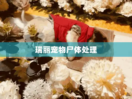 瑞丽宠物尸体处理