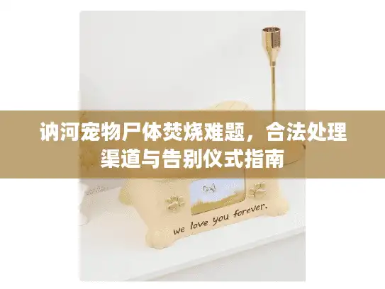 讷河宠物尸体焚烧难题，合法处理渠道与告别仪式指南