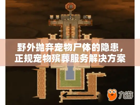 野外抛弃宠物尸体的隐患，正规宠物殡葬服务解决方案
