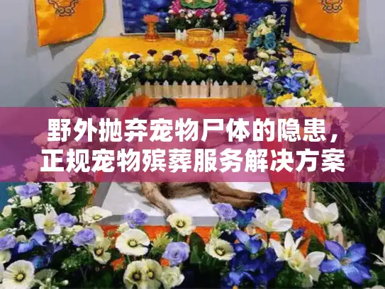 野外抛弃宠物尸体的隐患，正规宠物殡葬服务解决方案