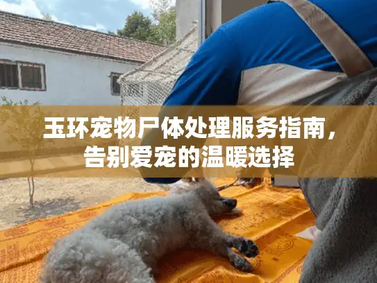 玉环宠物尸体处理服务指南，告别爱宠的温暖选择