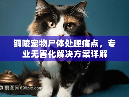 铜陵宠物尸体处理痛点，专业无害化解决方案详解