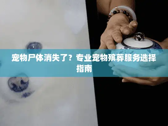宠物尸体消失了？专业宠物殡葬服务选择指南