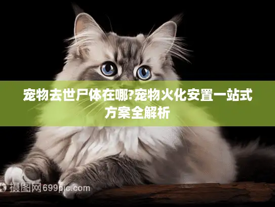 宠物去世尸体在哪?宠物火化安置一站式方案全解析