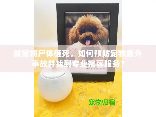 被宠物尸体砸死，如何预防宠物意外事故并找到专业殡葬服务？