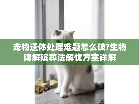宠物遗体处理难题怎么破?生物降解殡葬法解忧方案详解