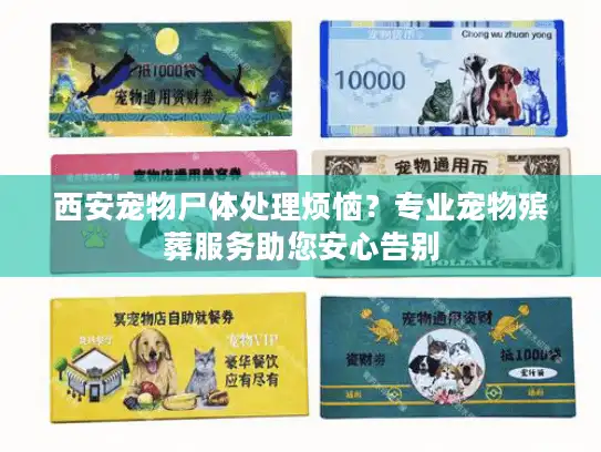 西安宠物尸体处理烦恼？专业宠物殡葬服务助您安心告别