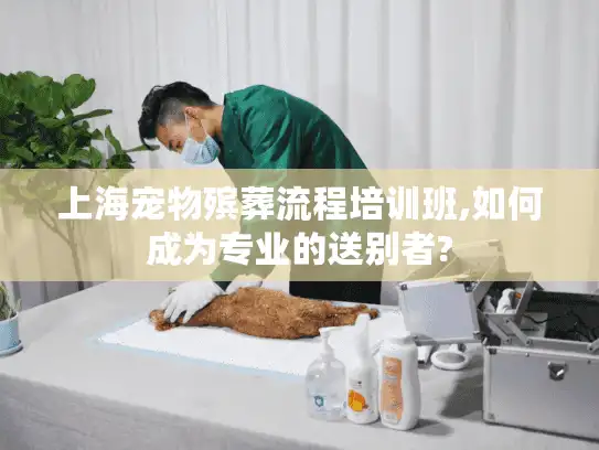 上海宠物殡葬流程培训班,如何成为专业的送别者?