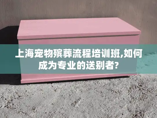 上海宠物殡葬流程培训班,如何成为专业的送别者?
