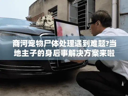 商河宠物尸体处理遇到难题?当地主子的身后事解决方案来啦