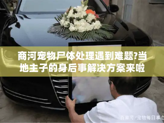 商河宠物尸体处理遇到难题?当地主子的身后事解决方案来啦