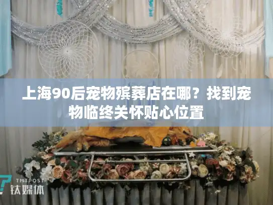 上海90后宠物殡葬店在哪？找到宠物临终关怀贴心位置