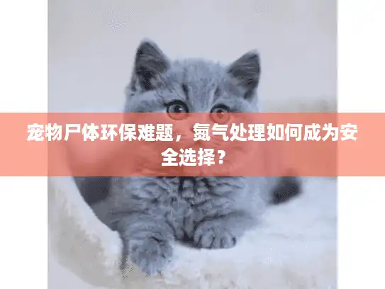 宠物尸体环保难题，氮气处理如何成为安全选择？