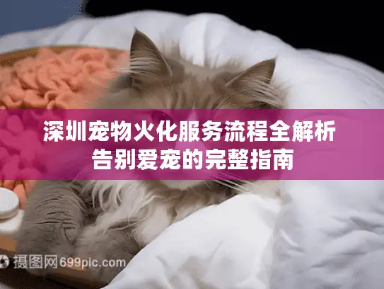 深圳宠物火化服务流程全解析 告别爱宠的完整指南