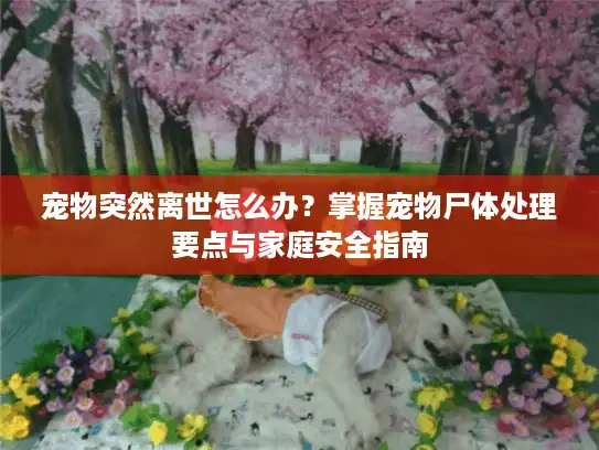 宠物突然离世怎么办？掌握宠物尸体处理要点与家庭安全指南