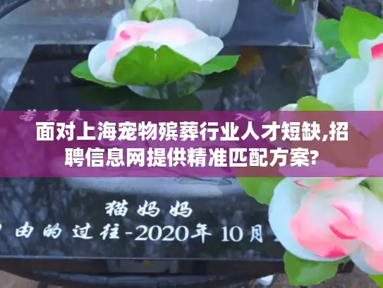 面对上海宠物殡葬行业人才短缺,招聘信息网提供精准匹配方案?