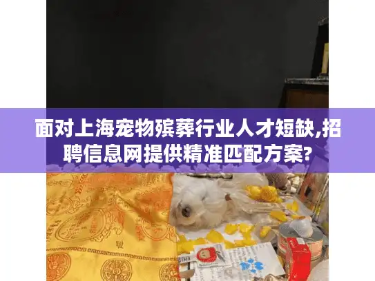 面对上海宠物殡葬行业人才短缺,招聘信息网提供精准匹配方案?