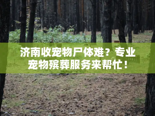 济南收宠物尸体难？专业宠物殡葬服务来帮忙！