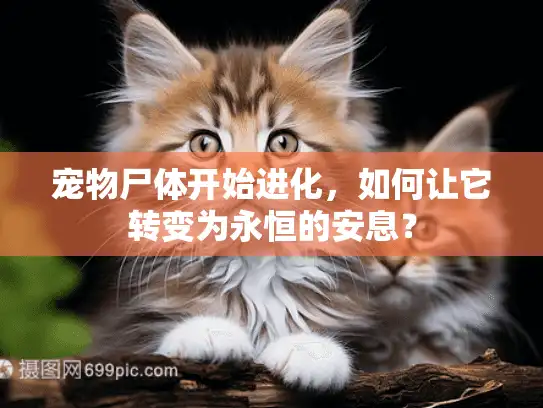 宠物尸体开始进化，如何让它转变为永恒的安息？