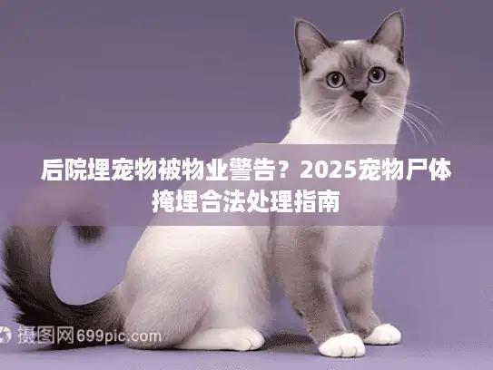 后院埋宠物被物业警告？2025宠物尸体掩埋合法处理指南