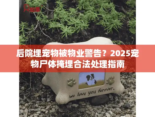后院埋宠物被物业警告？2025宠物尸体掩埋合法处理指南