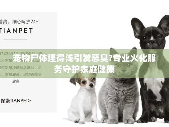 宠物尸体埋得浅引发恶臭?专业火化服务守护家庭健康