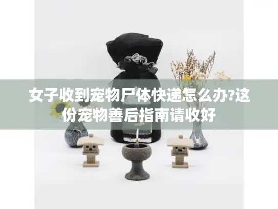 女子收到宠物尸体快递怎么办?这份宠物善后指南请收好