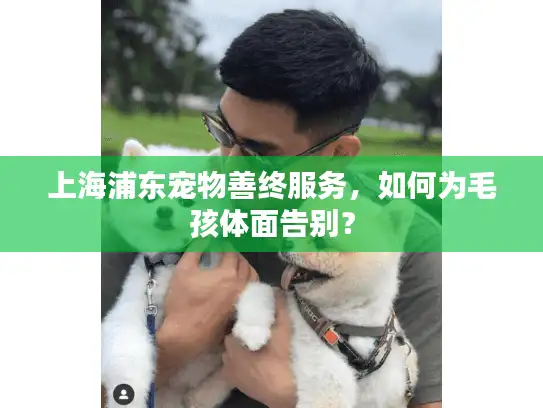 上海浦东宠物善终服务，如何为毛孩体面告别？
