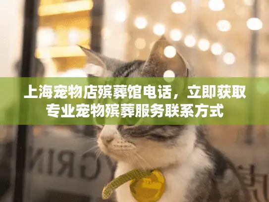 上海宠物店殡葬馆电话，立即获取专业宠物殡葬服务联系方式